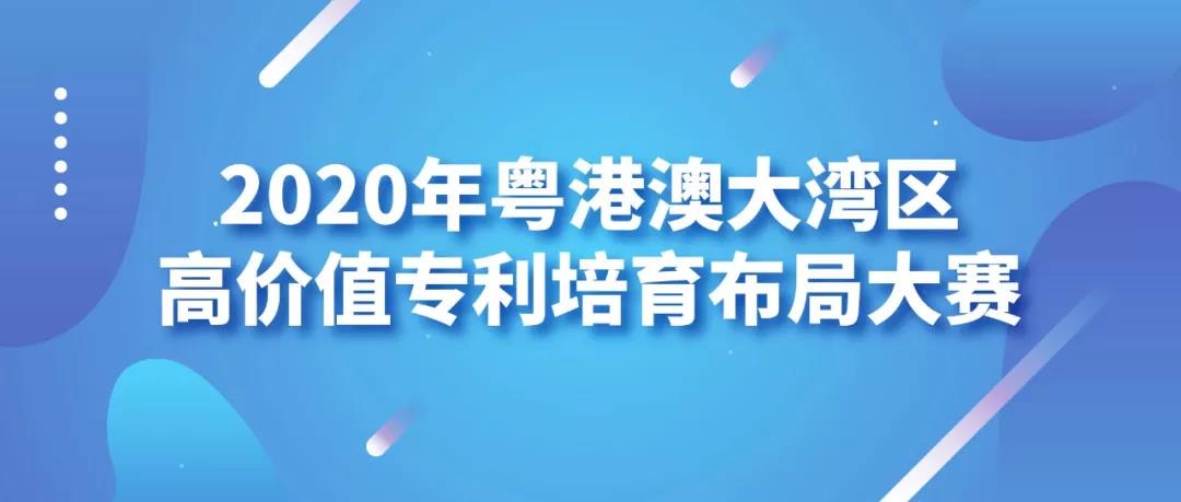 澳门知识专家解读，广东省梁伟沛的职业生涯与成就