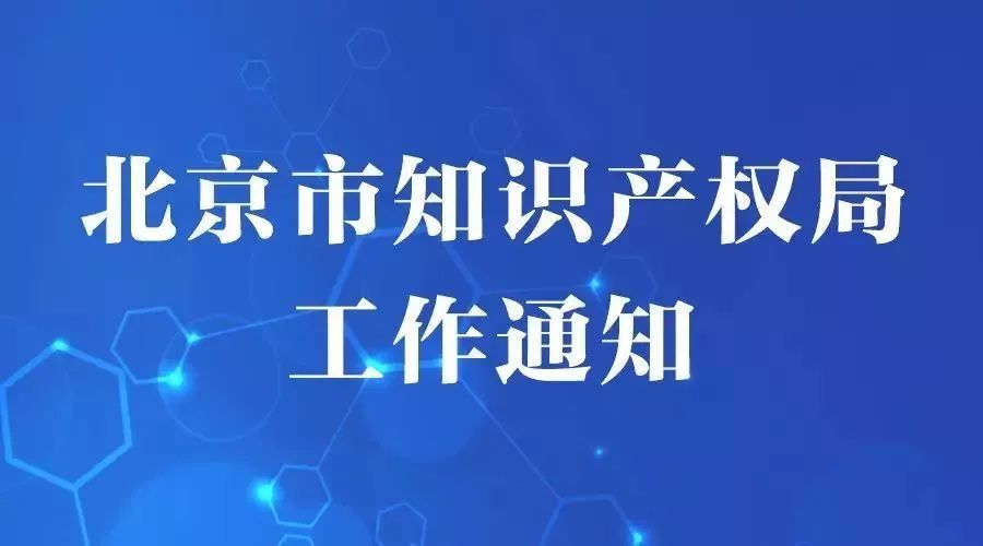 江苏集云信息科技，澳门知识领域的创新先锋