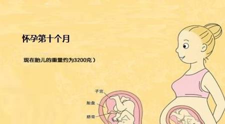 胎儿7个月在腹中图片，揭秘孕期奇妙旅程