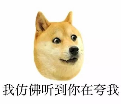 五个月柴犬图片，探索澳门柴犬的魅力