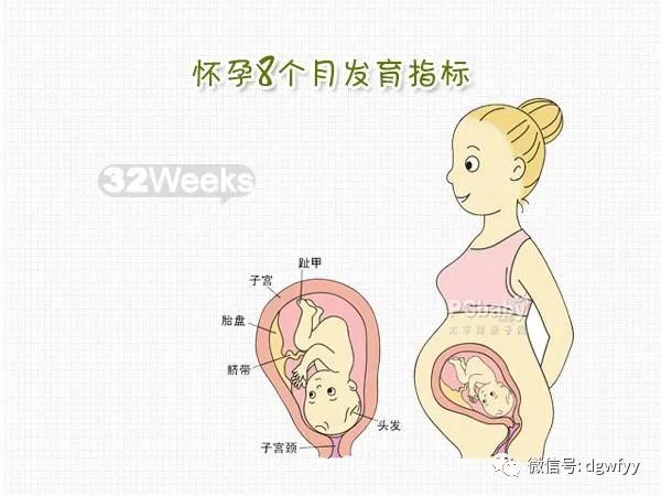 孕妇8个月是多少周，孕期知识与孕期保健