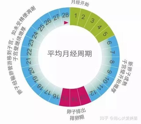 生完孩子8个月来月经，揭秘产后月经周期的奥秘