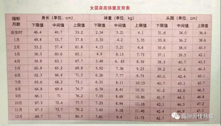 10个月宝宝头围标准，探索成长的新里程碑