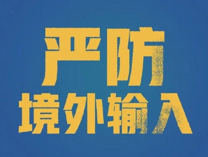 澳门与广东省汽车消费补贴查询，政策联动与消费促进