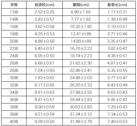 八个月胎儿发育情况对照表