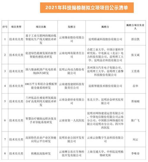 江苏科技项目表格填写，澳门视角下的科技管理与创新