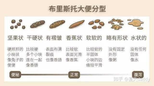 四个月宝宝一天大便几次正常，全面解析与护理指南