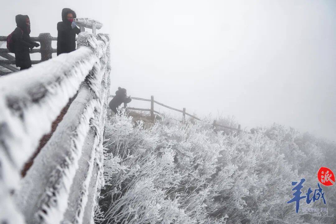 广东省最近下雪的地方，探索粤地雪迹的奇妙之旅